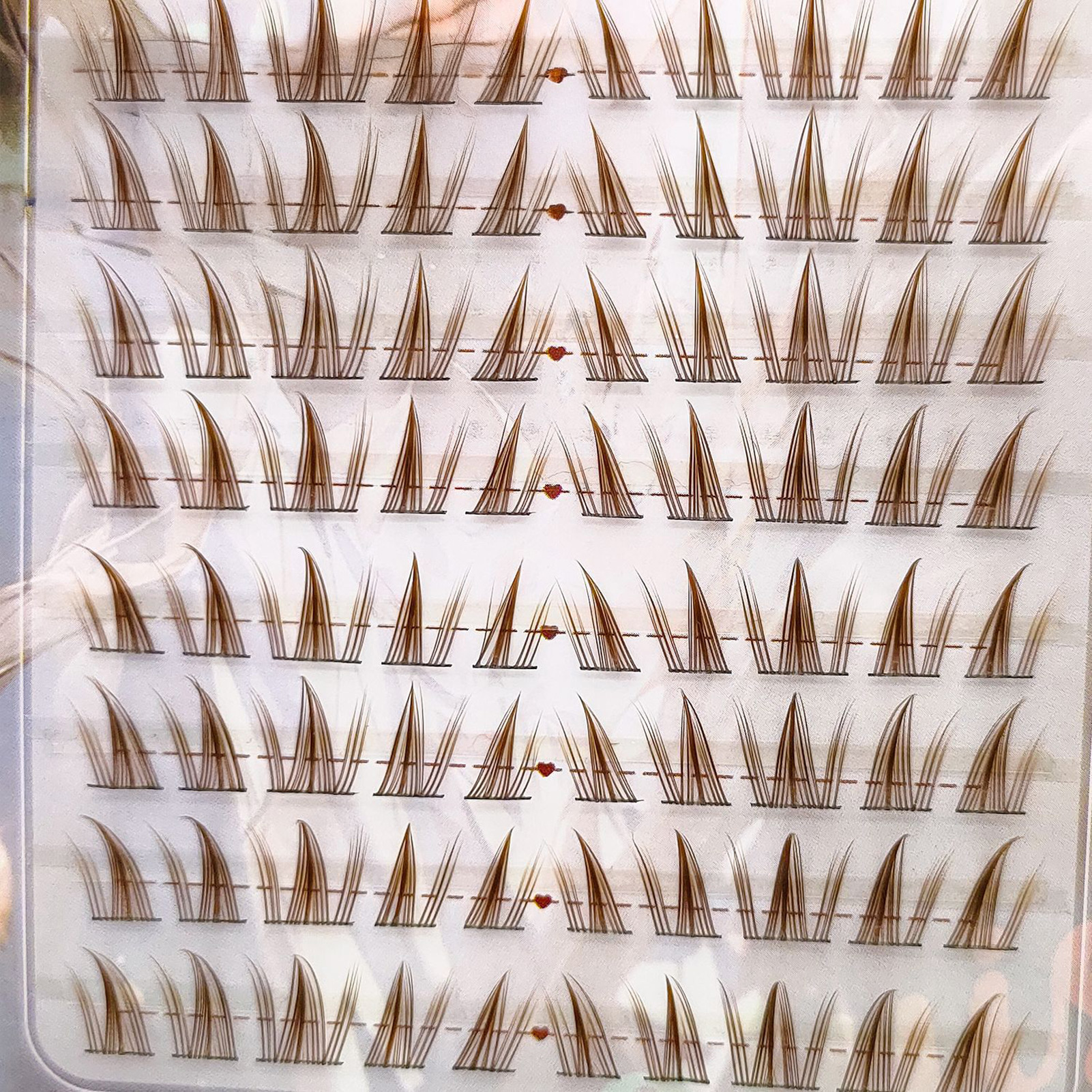 Brown Sunflower DIY Lash Clust - Hair Care Korea incelemesi ve fiyatı